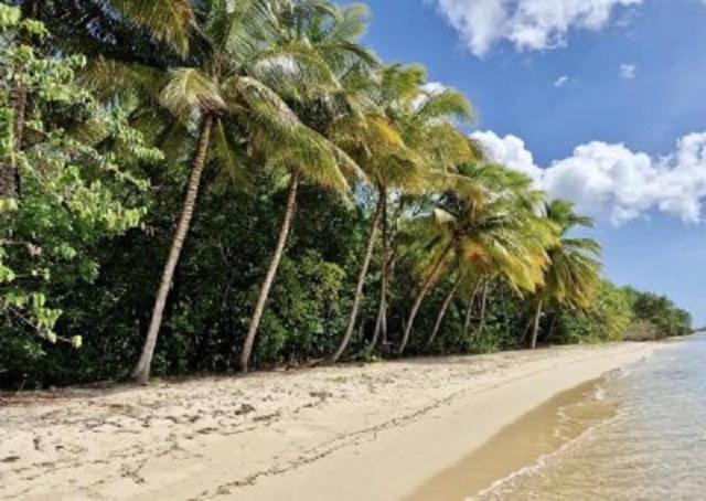 Touloukaera appt 303 Plage Kawann Saint-Louis Eksteriør billede