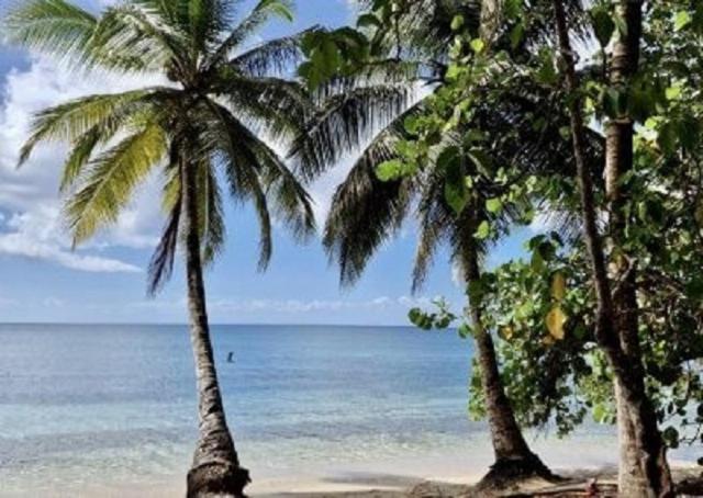 Touloukaera appt 303 Plage Kawann Saint-Louis Eksteriør billede